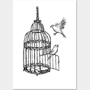 Bird cage image Posters and Art